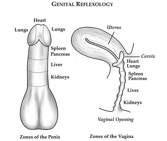 Genital Massage Genital Massage